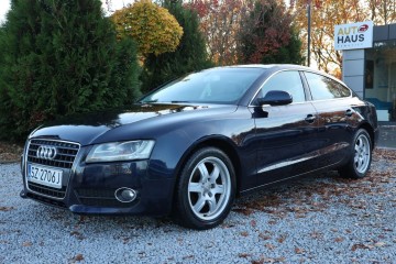 Czujniki, NAVI, Grzane el. reg. skóra-alcantara, Fot. Xenon